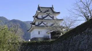 １６６６年ごろに完成した宇和島城天守＝宇和島市丸之内